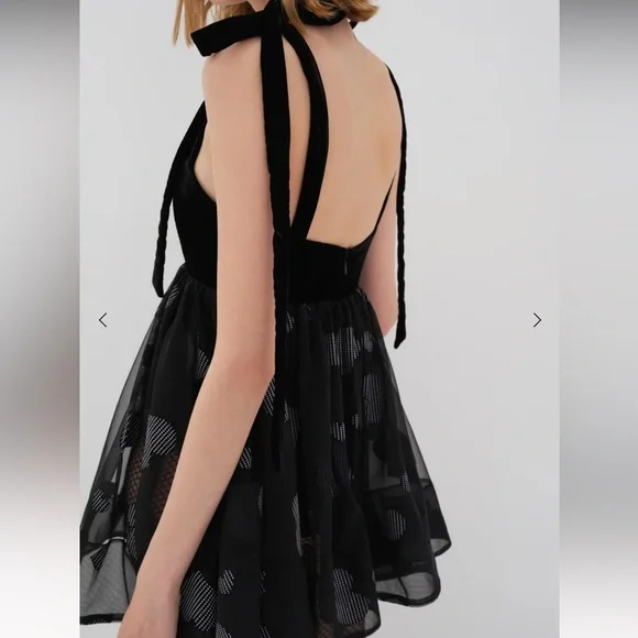 For Love and Lemons Alexandra Bodysuit Sheer Hearts Printed tie Mini Dress - Picture 2 of 6